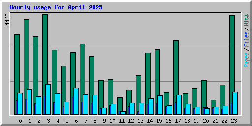 Hourly usage for April 2025