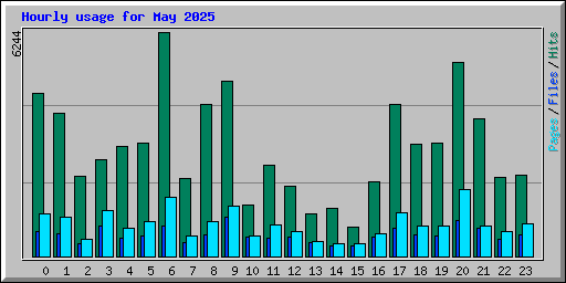 Hourly usage for May 2025