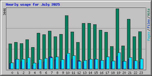 Hourly usage for July 2025